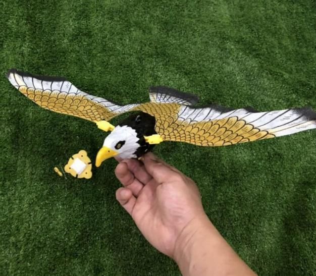 Flying Eagle Bird Toy with Spread Wings